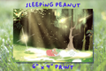 peanut sleeping print