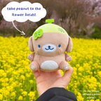 [ preorder ] peanut plushie