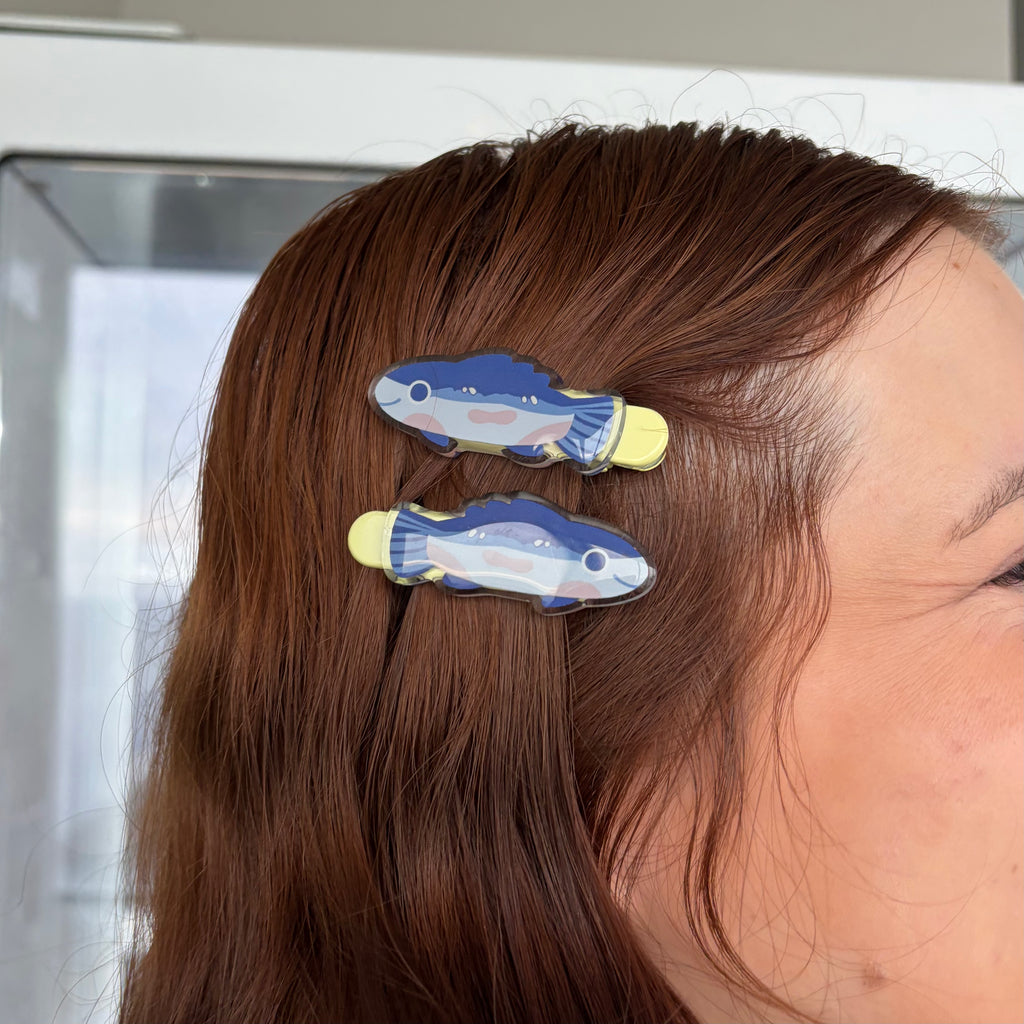 fish clips